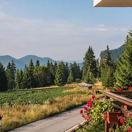 Apartment View Pamporovo